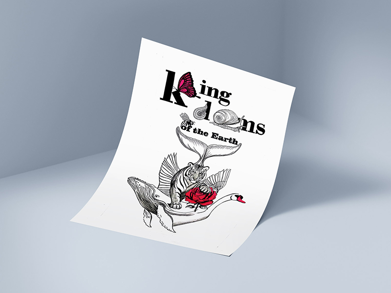 design_13.webp