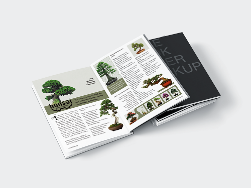 design_7_500x375.webp